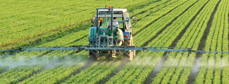 farmer sprays herbicide on crops